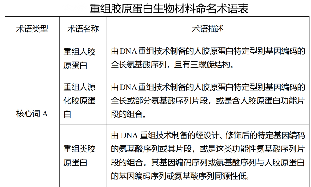 文件上传成功！